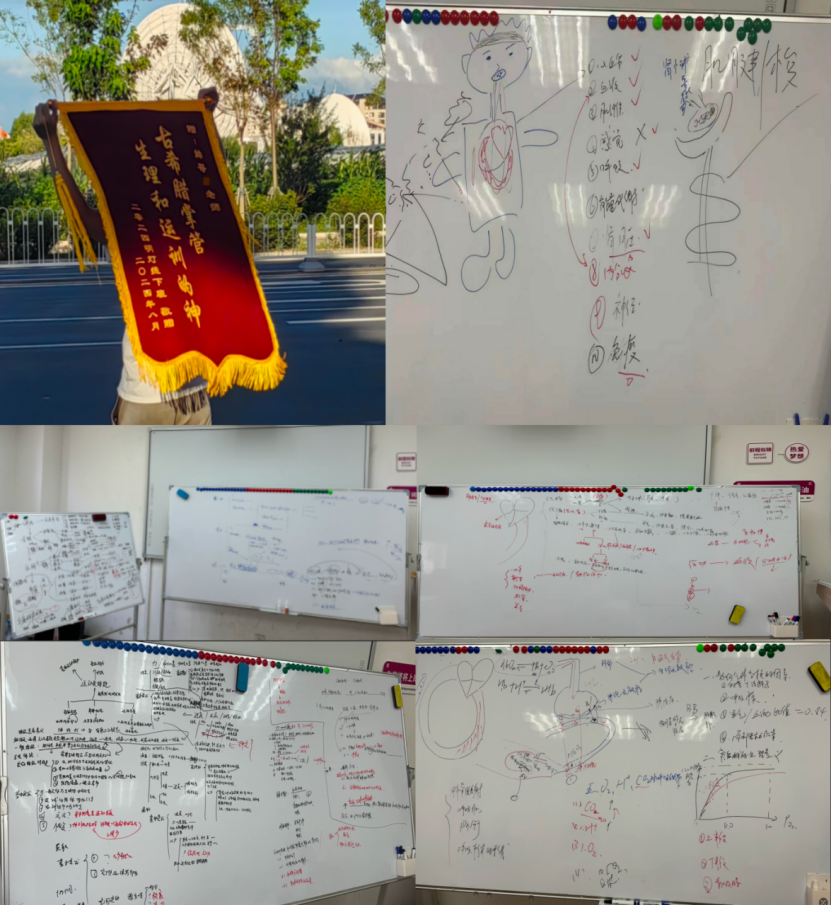 篮球规则书多少钱_2020版篮球规则书_篮球规则书一套多少本